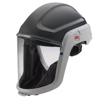 3M M307 Visier